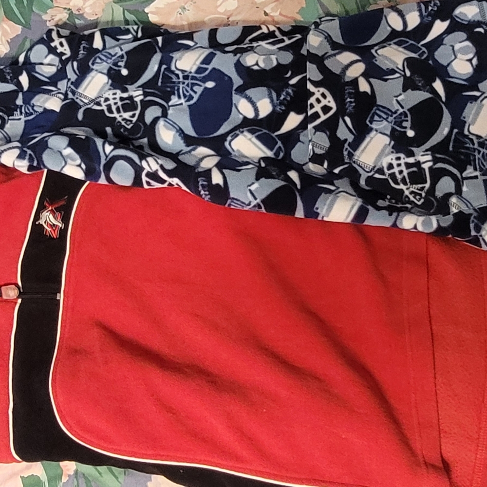 2  boys fleece hooded sweaters